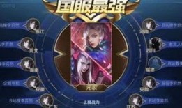 王者爆料元哥视频,元哥视频深度解析