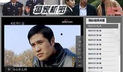 可以在线观看的视频,XX背后的故事与精彩瞬间