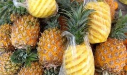 菠萝最新爆料视频,揭秘娱乐圈幕后真相