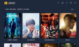 晓慧爆料视频大全集下载,揭秘幕后真相，带你走进事件核心